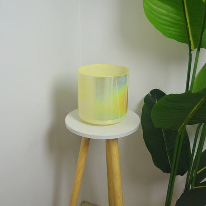 Sound Healing Crystal Singing Bowls - Yellow